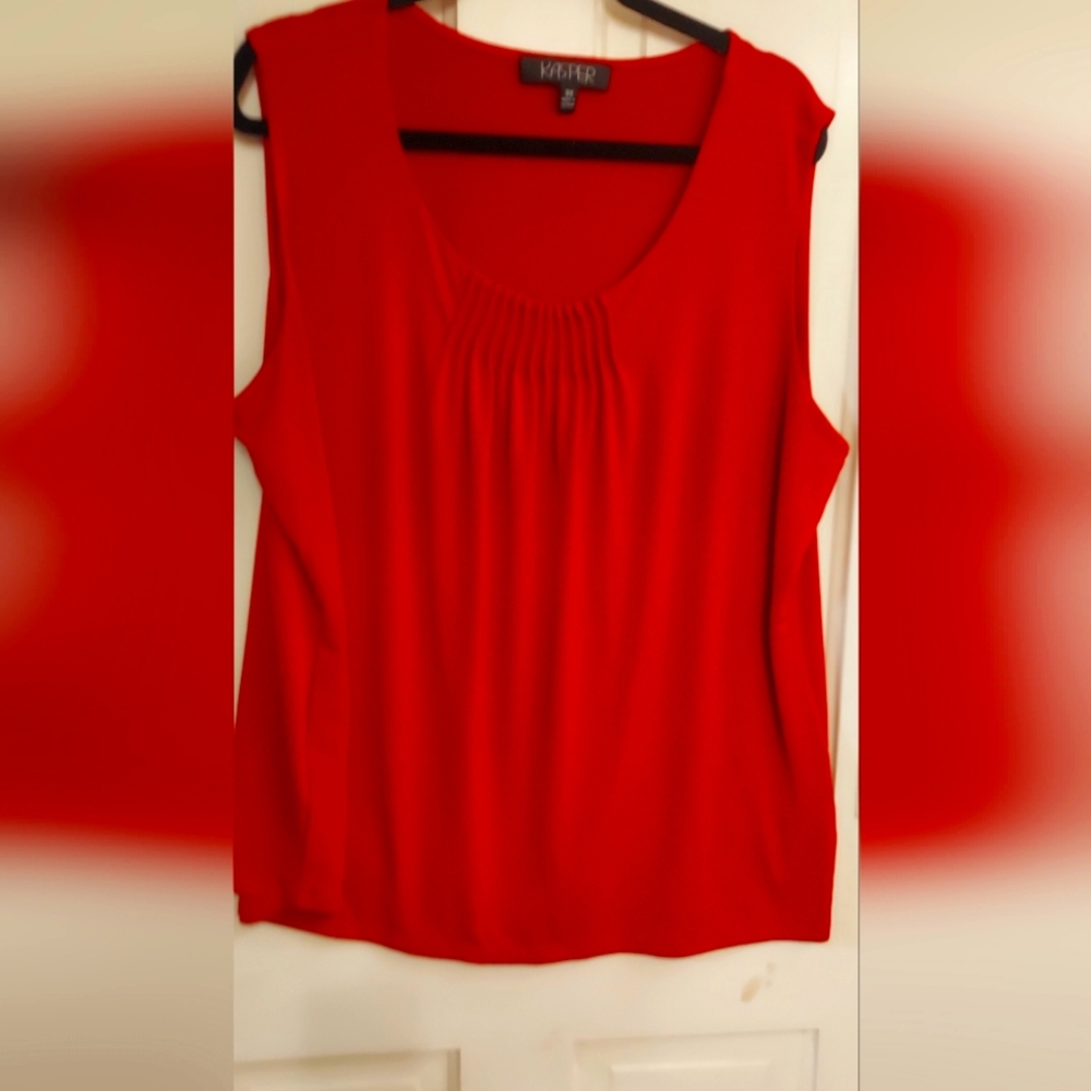 Size 3X Kasper top